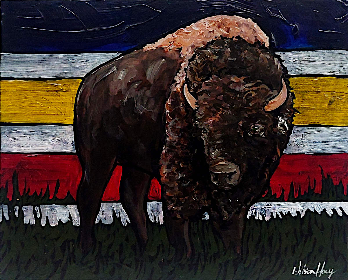 timothy-wilson-hoey-bison-8x10-chase-art-gallery