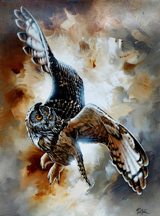 Sarah Fecteau - Contrejour 40x30