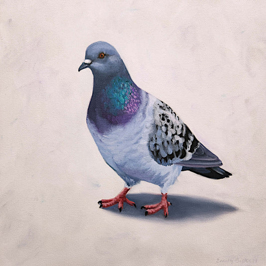 Emily Bickell - Rock Pigeon 10 12x12
