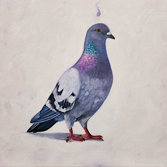 Emily Bickell - Rock Pigeon 7 12x12