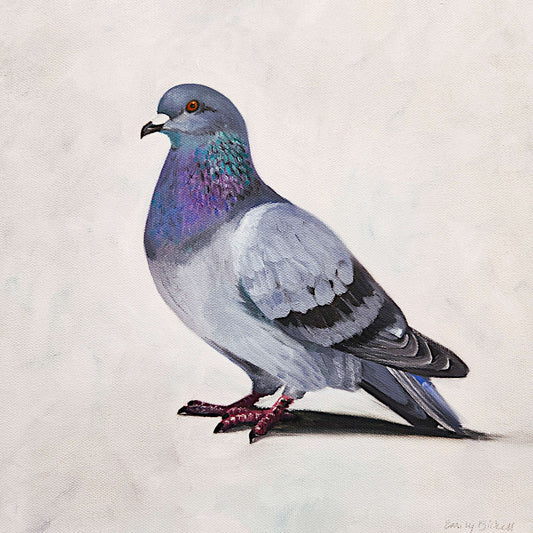 Emily Bickell - Rock Pigeon 8 12x12