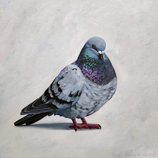 Emily Bickell - Rock Pigeon 9 12x12
