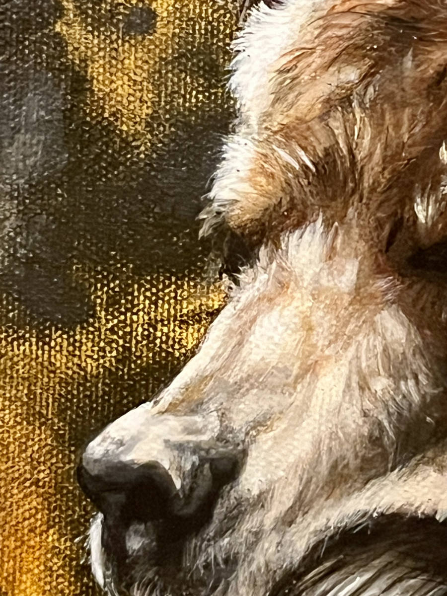 Marie-Andrée Leblond - Rex 20x20