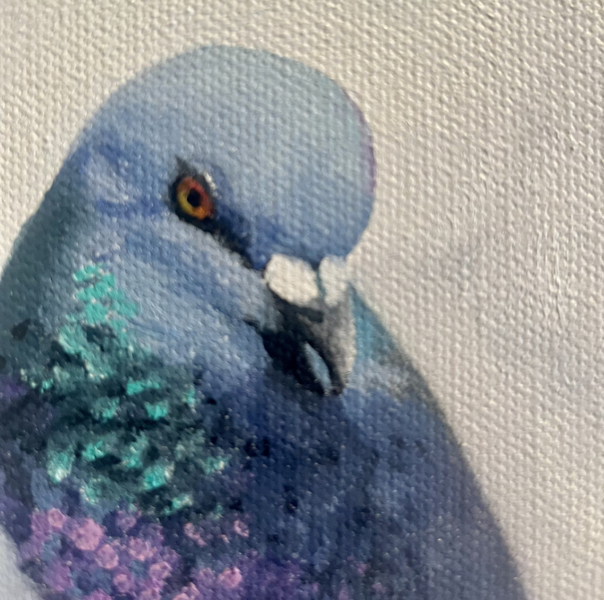 Emily Bickell - Rock Pigeon 9 12x12