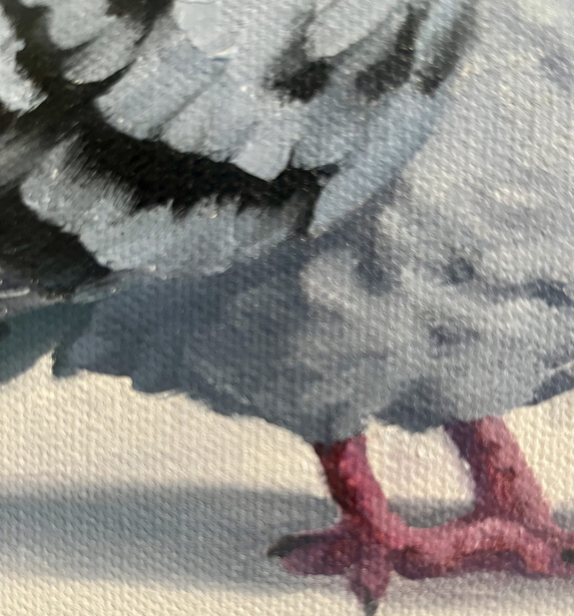 Emily Bickell - Rock Pigeon 9 12x12