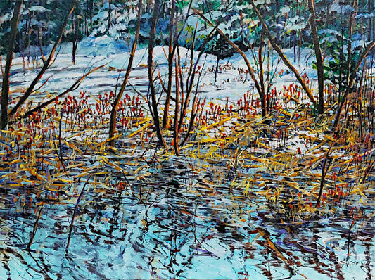 Bev Rodin - Wetlands in Winter 30x40