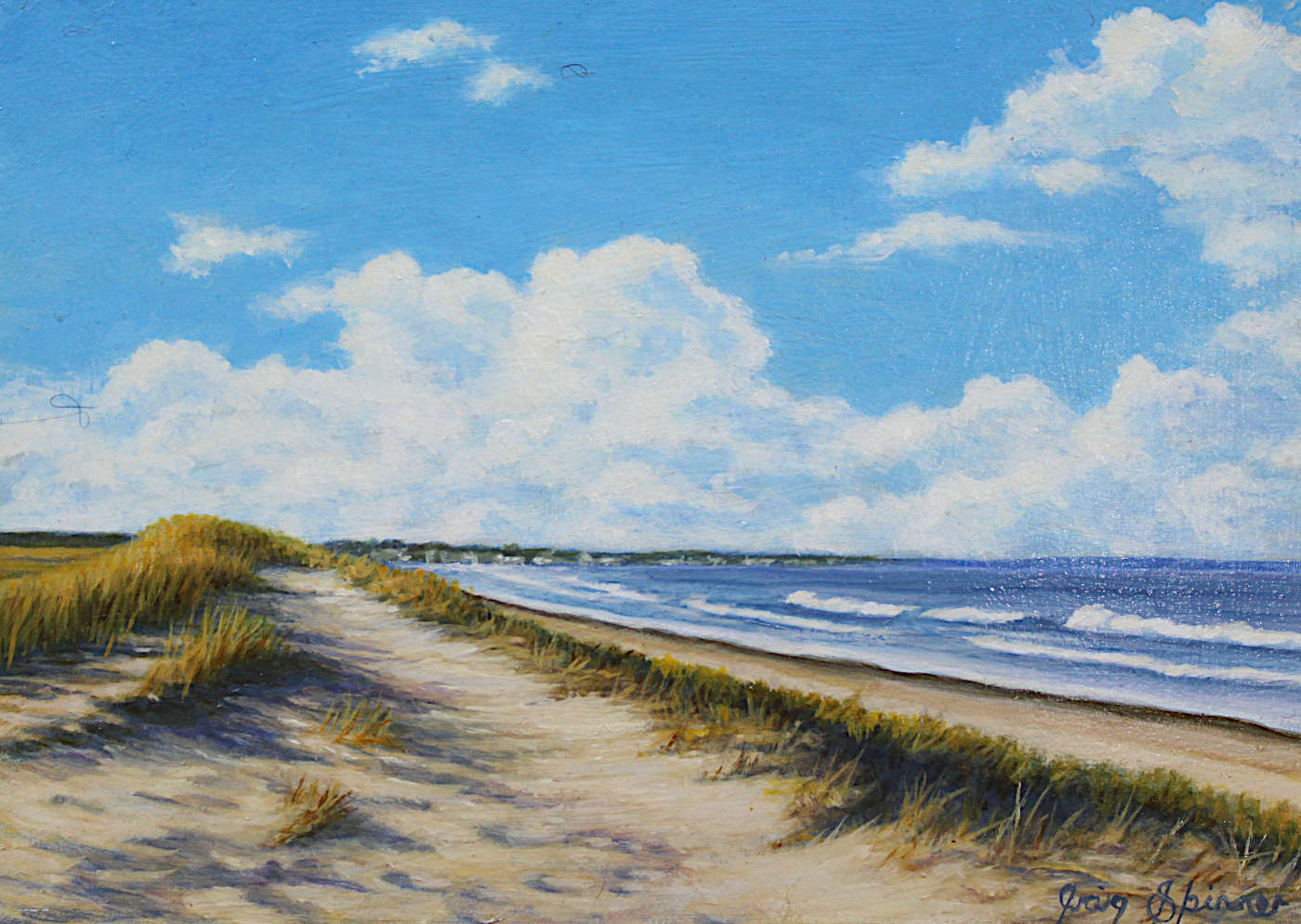 Craig Skinner - Afternoon at the Beach 5x7