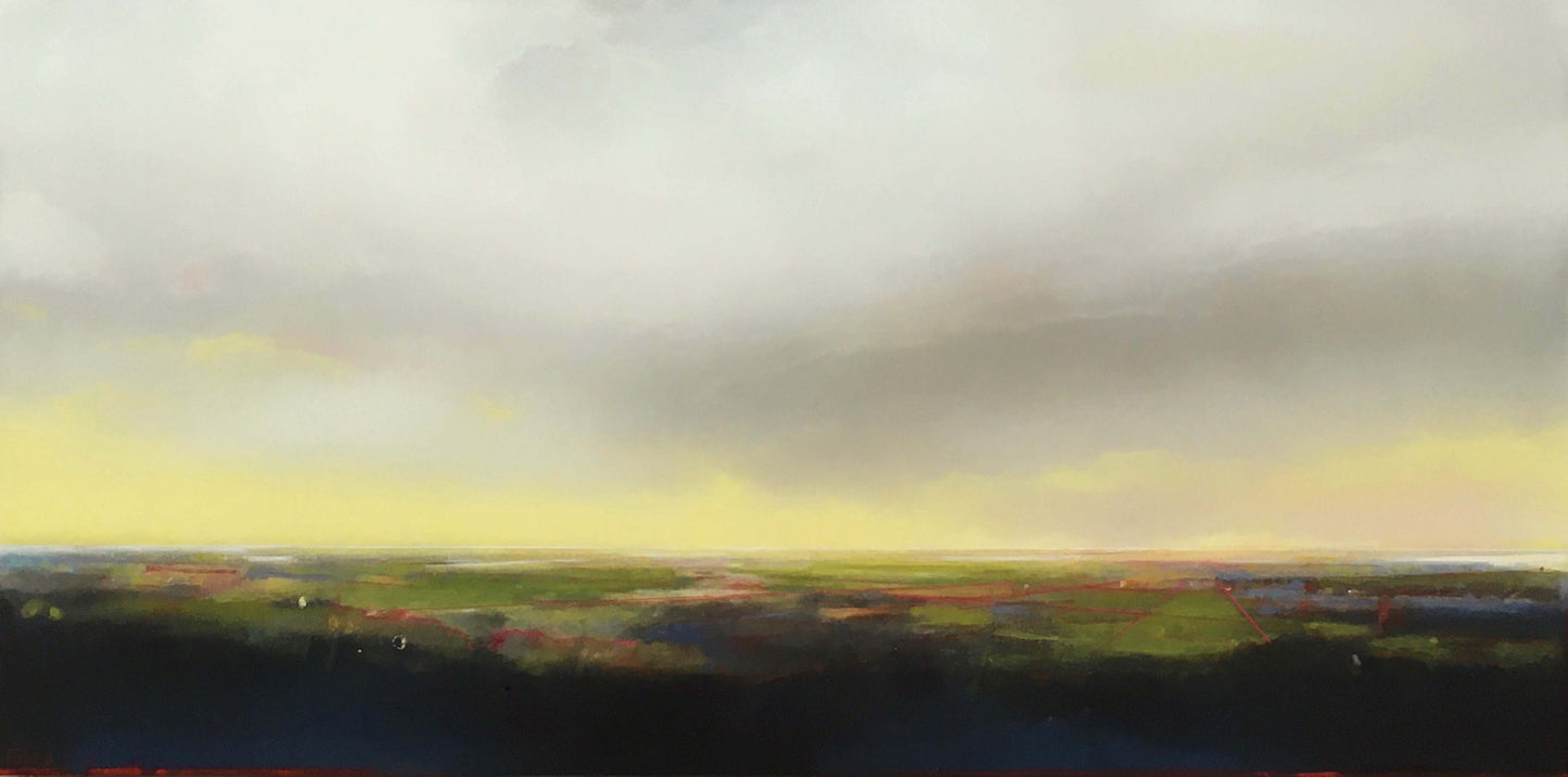 Joe Fidia - Beginnings 24x48.
