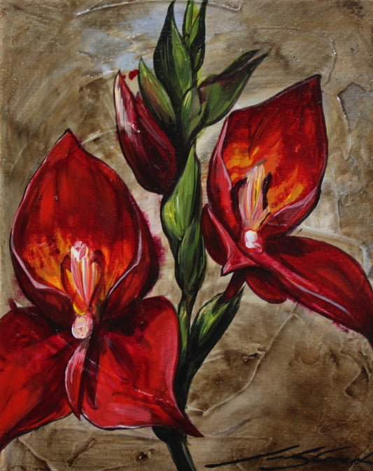 Marie-Andrée Leblond - Disa Watsonii 8x10