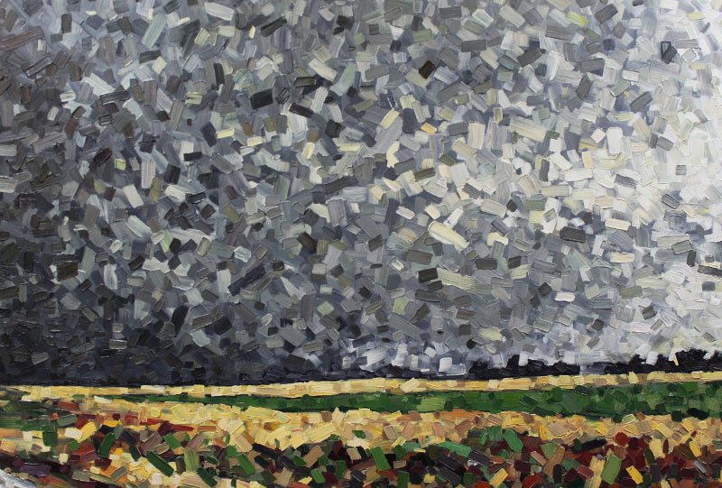 David Grieve - Field Storm 30x48