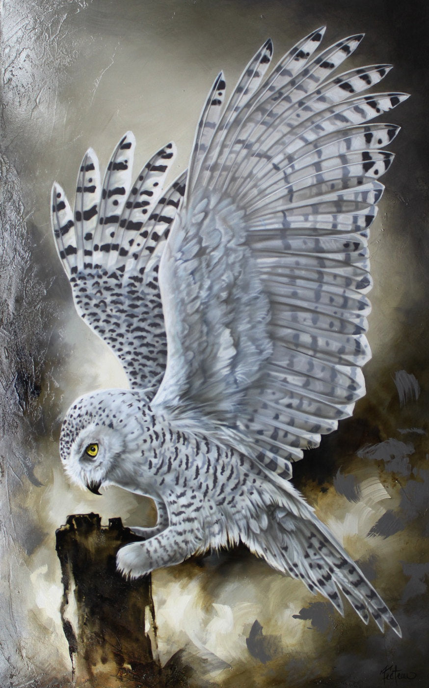 Sarah Fecteau -Harfang des Neiges 48x30