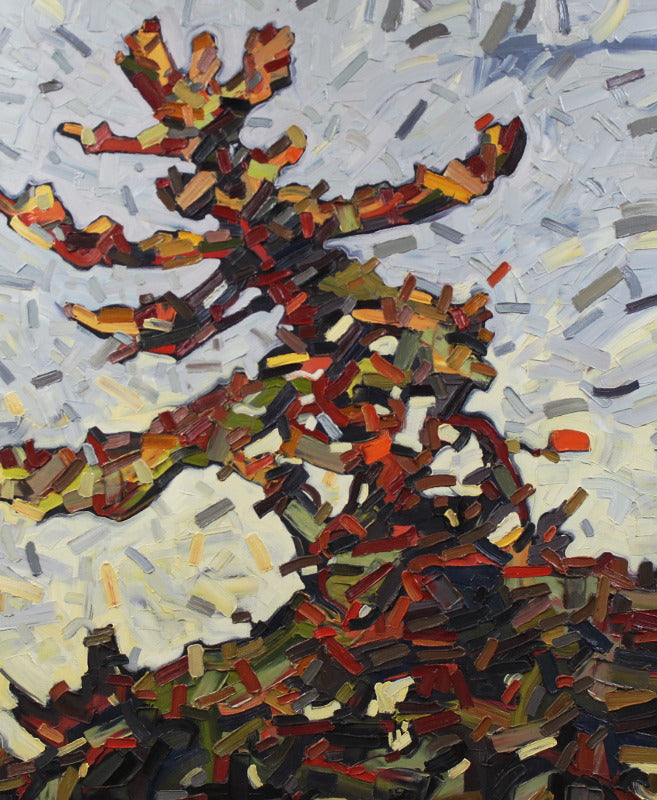 David Grieve - Pine Portrait 36x30