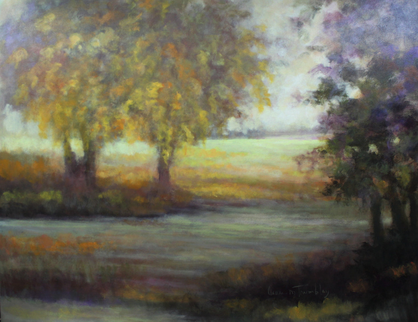 Claude Tremblay - Profondeur d'un rêve 48x60