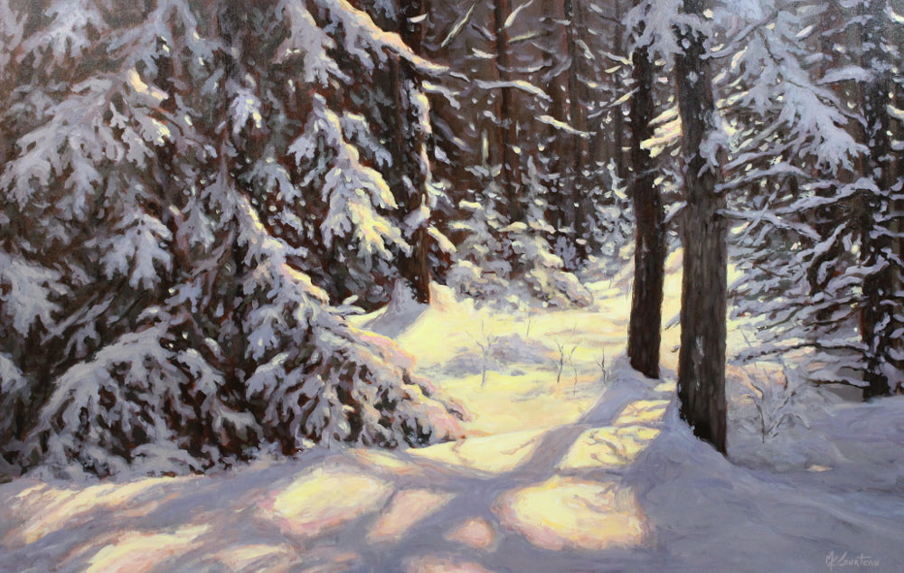 Marie-Claude Courteau - Shadows 30x48