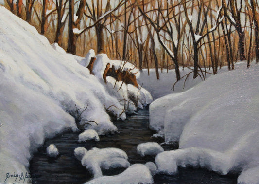 Craig Skinner - Snowy Stream 5x7