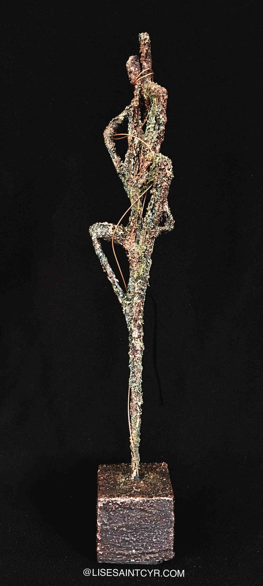 Lise St-Cyr - Symphony 4x6x26