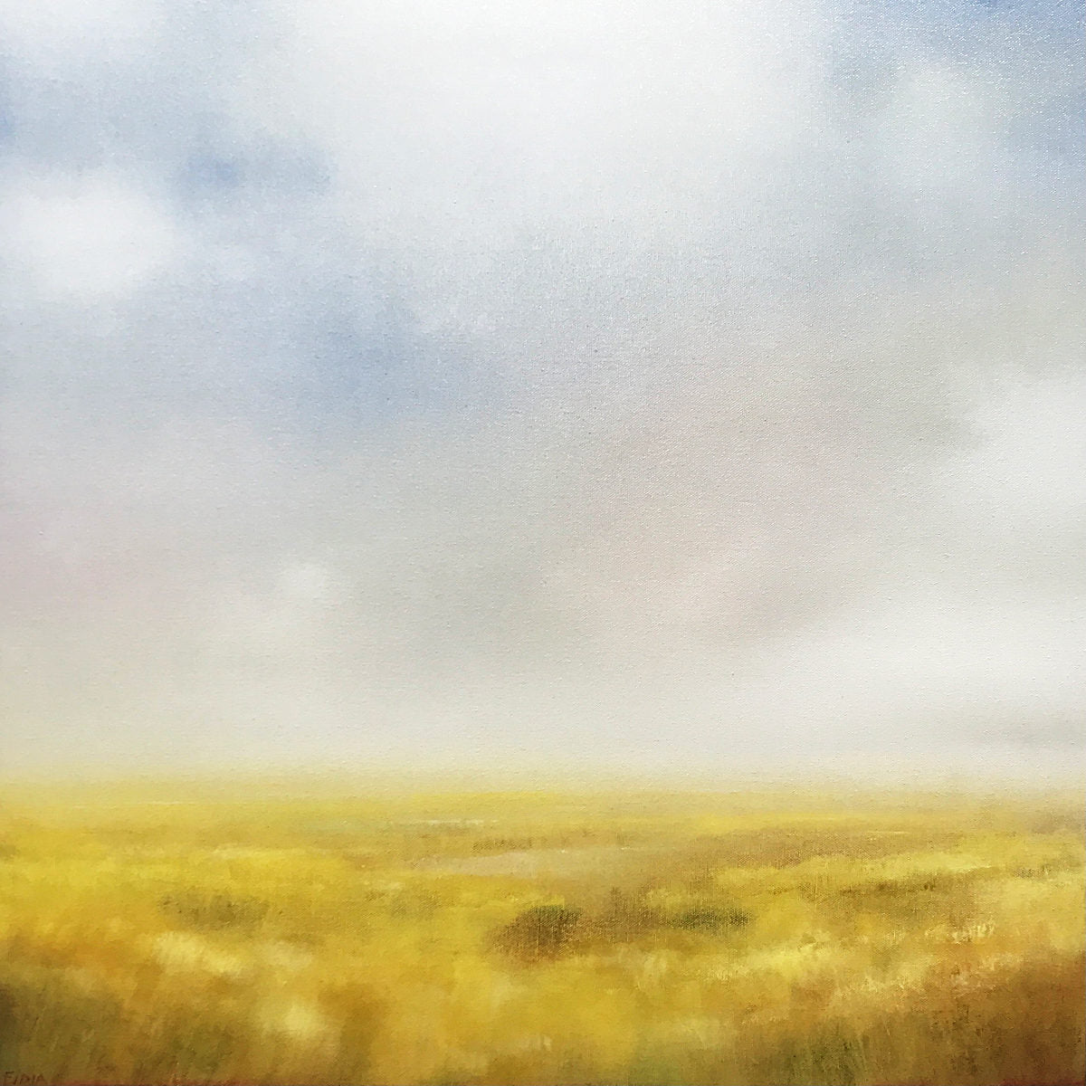 Fields 4 24x24