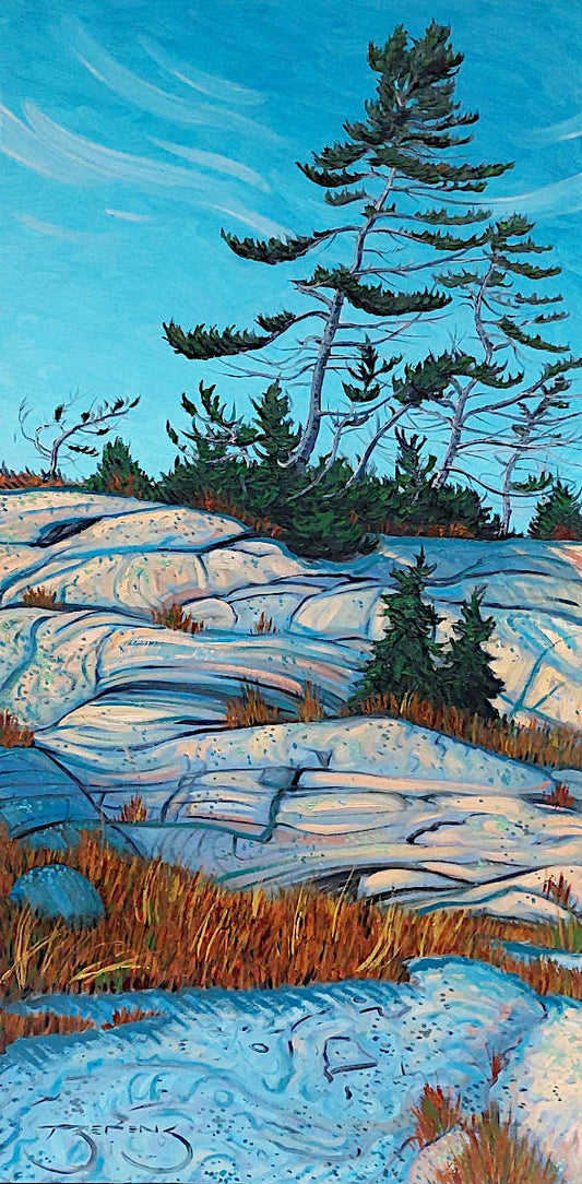 Mark Berens - Dart Island Pines 40x20