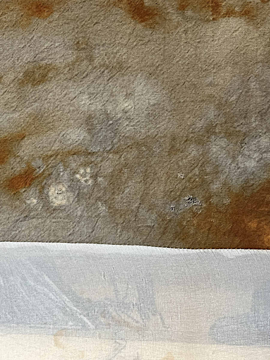 Megan Fitzgerald - Notes From The Earth 19x16