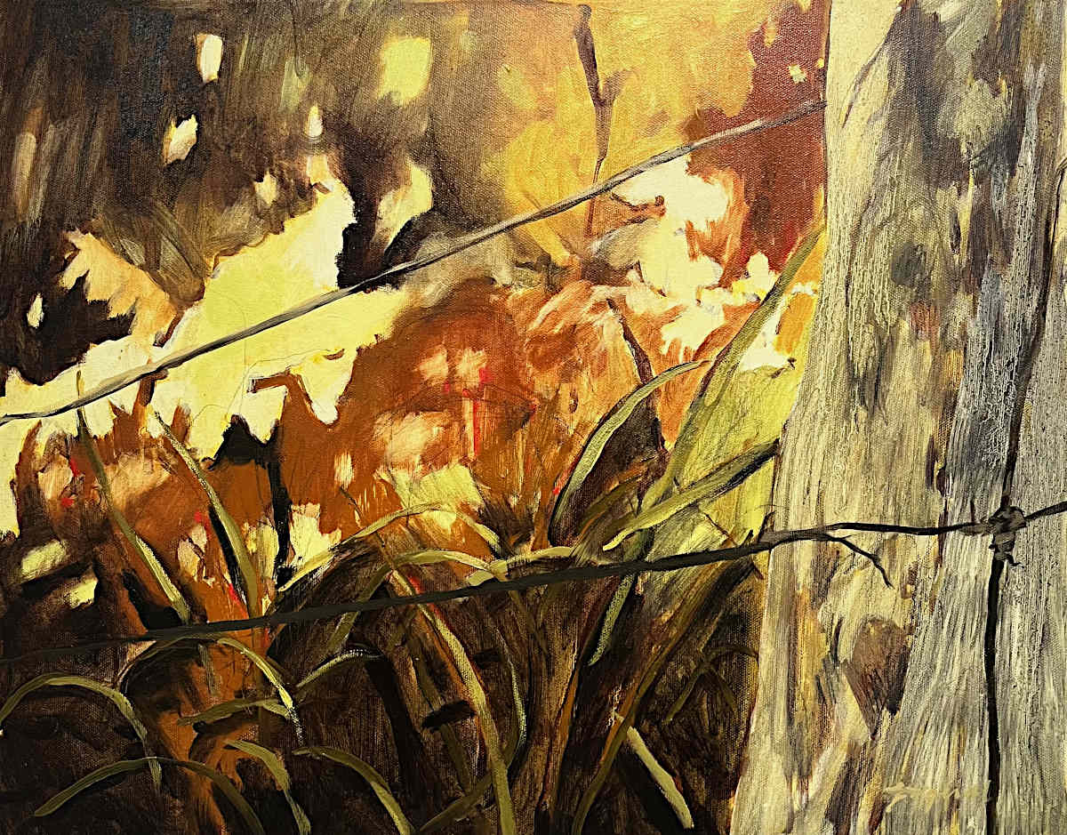 Megan Fitzgerald - Small Thresholds 16x20
