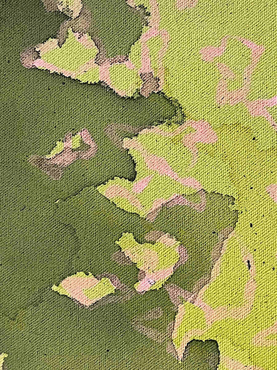 Megan Fitzgerald - Such Astonishment 14x11