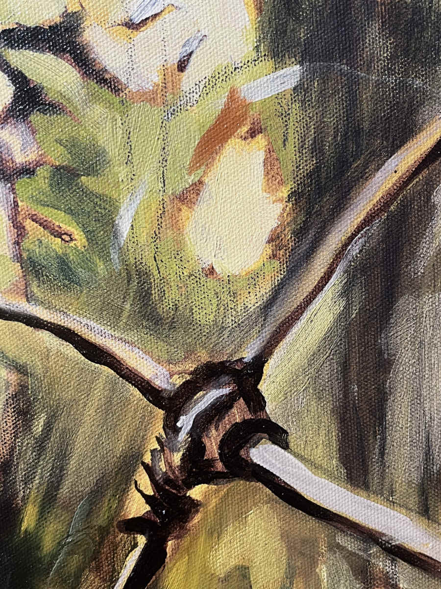Megan Fitzgerald - Fence Lines and Shifting Forms 36x36